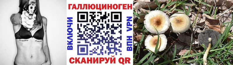 Галлюциногенные грибы Magic Shrooms  Купить где  Чадан 